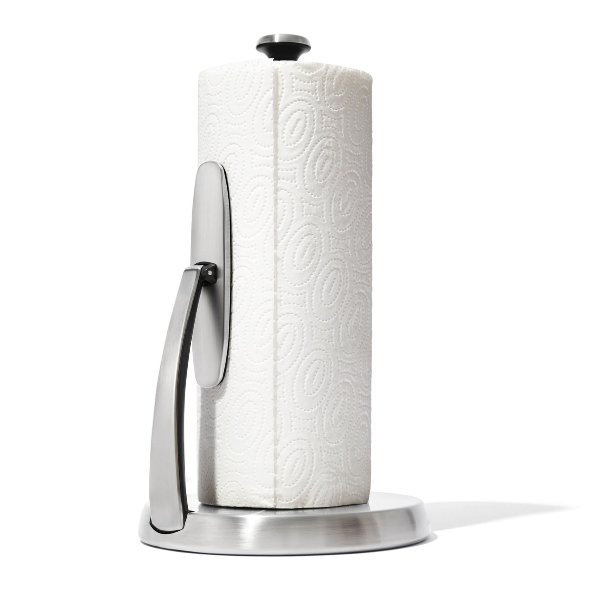Stainless Steel Paper Towel Holder