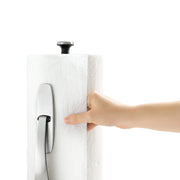 Stainless Steel Paper Towel Holder